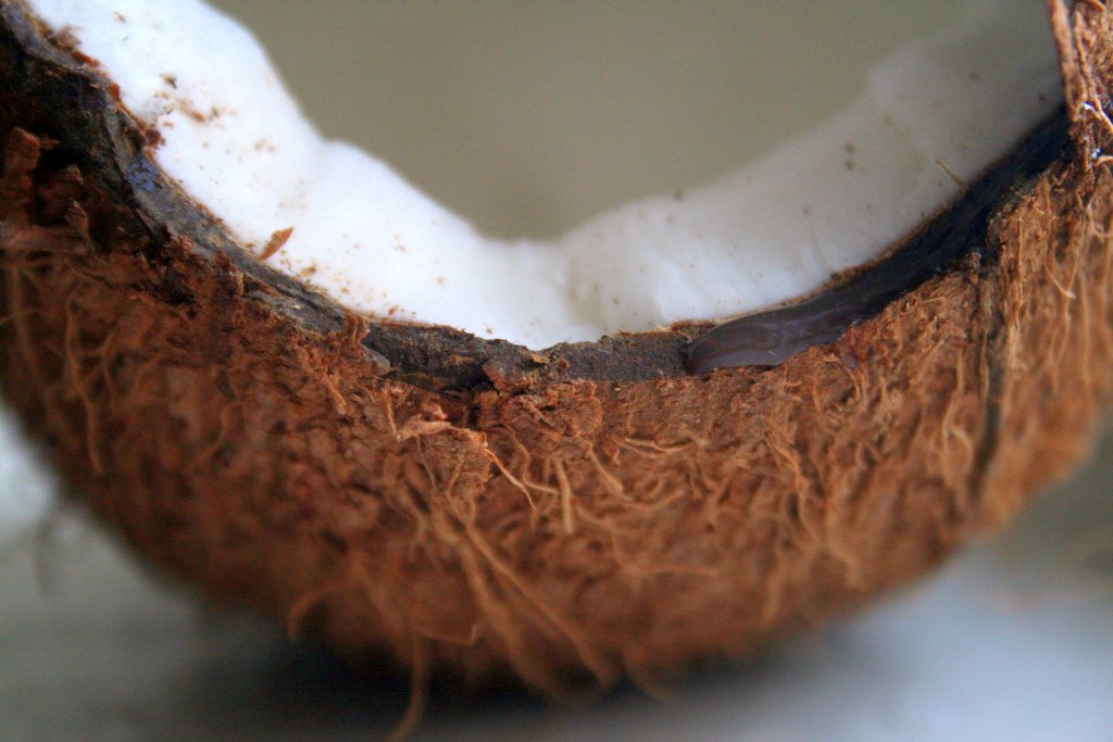 coconut-sugar